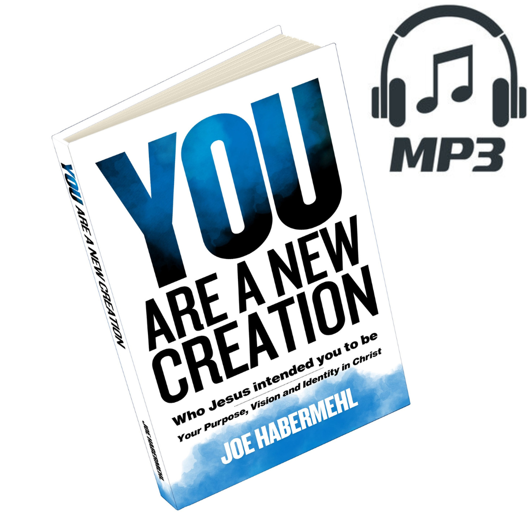 Audio Book MP3- You Are A New Creation
